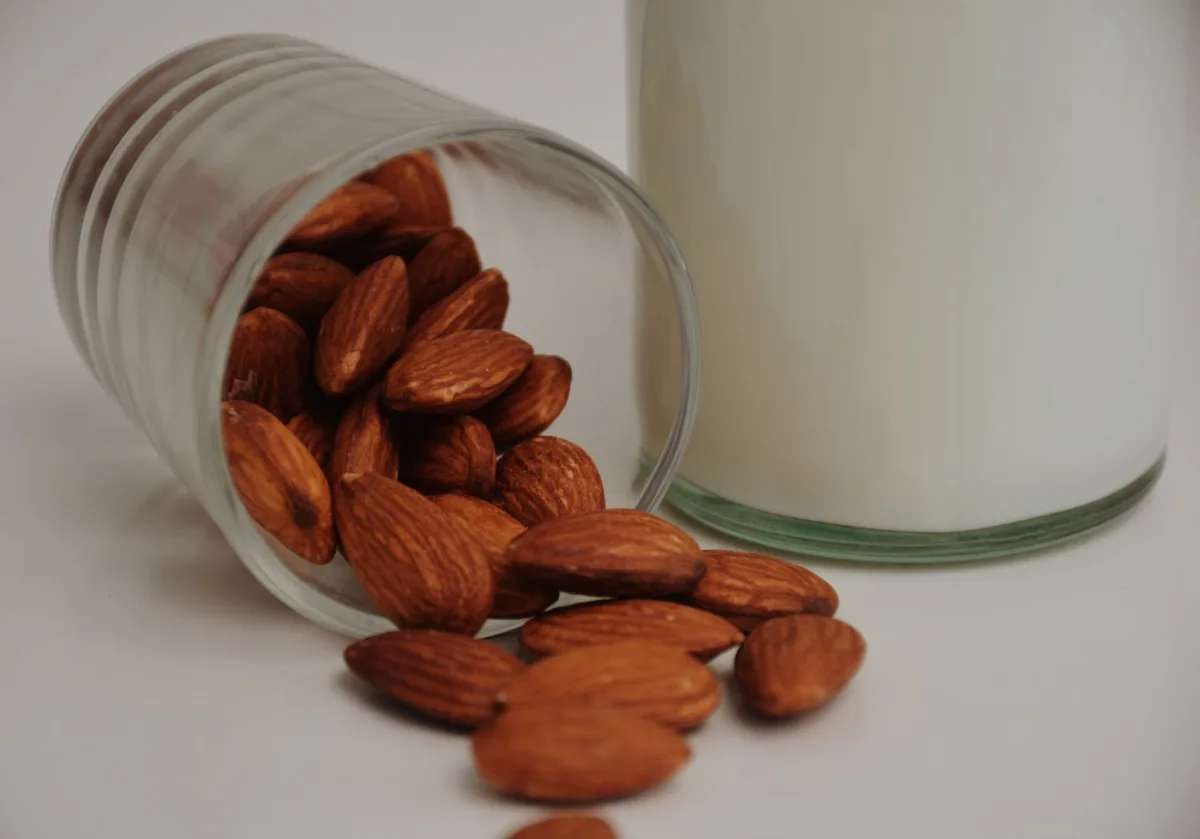Amandes entières avec leur peau brune dans une coupelle en céramique, éclairées par une lumière chaude latérale