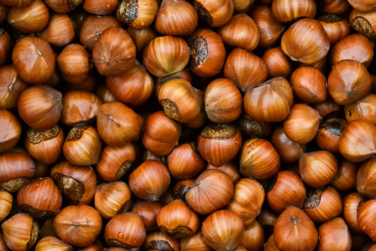 Pâte à crumble sablée du bout des doigts avec des noisettes concassées dans un saladier
