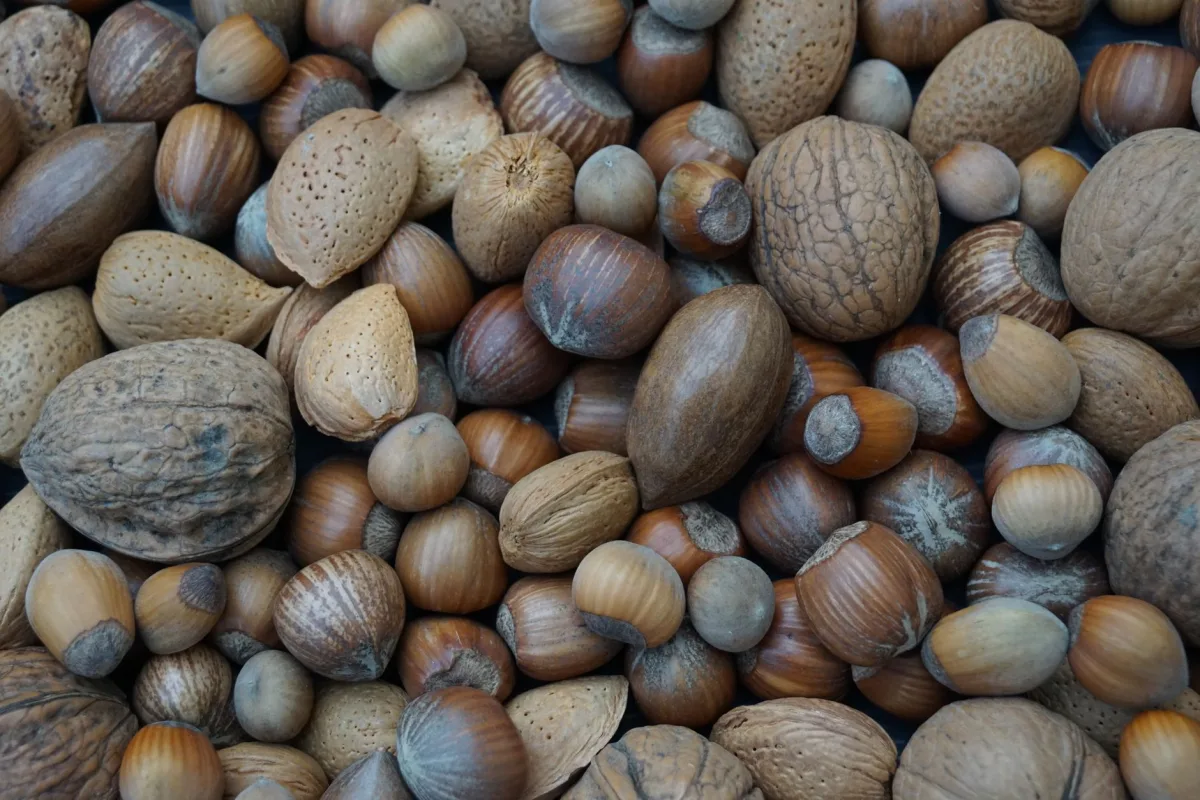 Ingrédients de pâtisserie pesés sur une balance : amandes, noisettes, farine, sucre et beurre