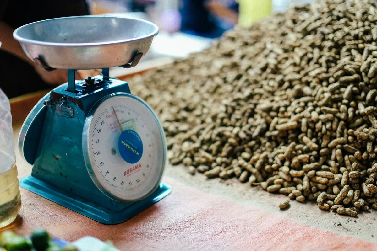 Trente grammes d'amandes pesés dans une coupelle en céramique, balance de cuisine en arrière-plan