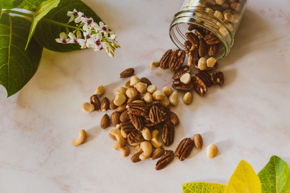 Cajou vs macadamia pour prise de masse et énergie