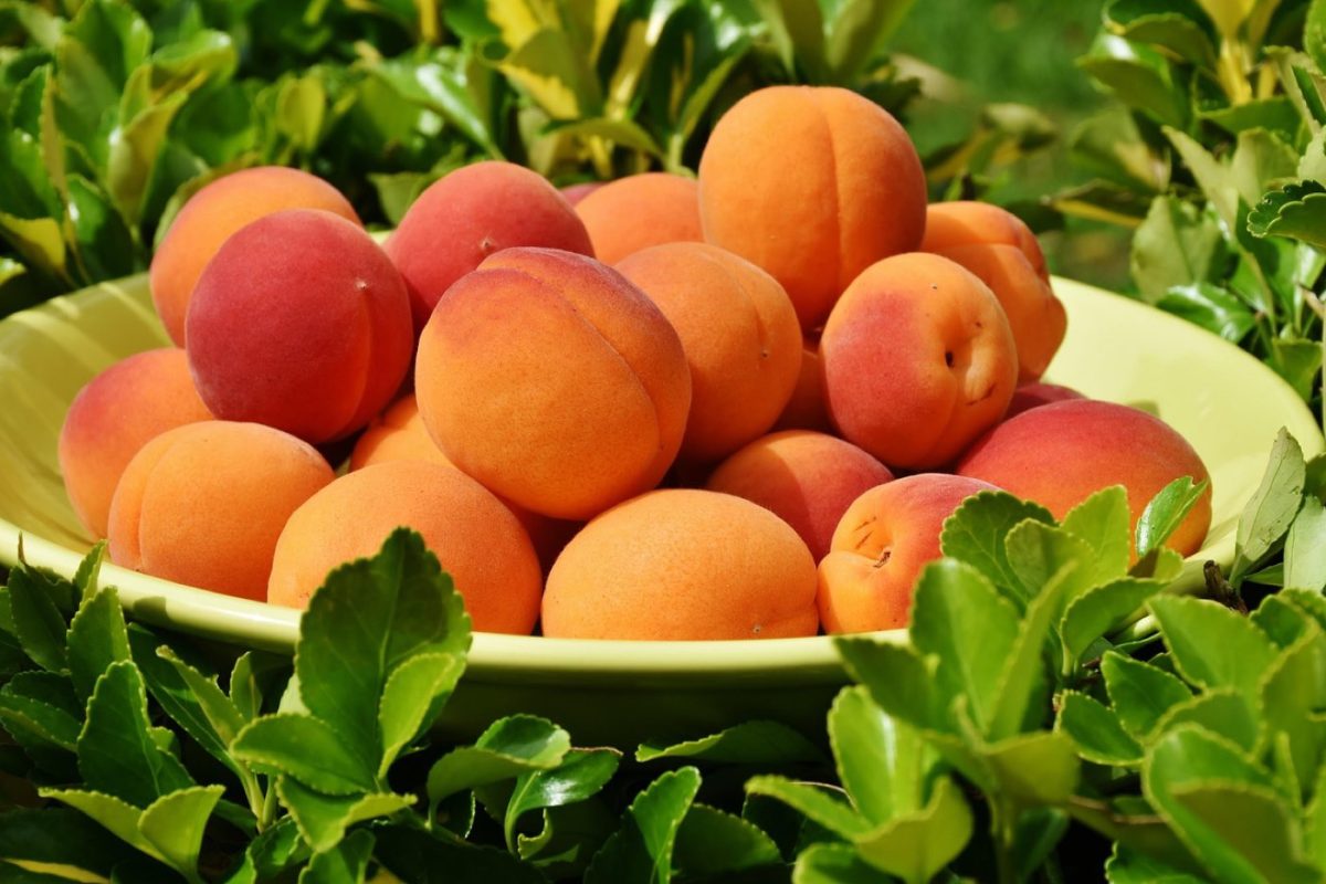 Recettes de petit‑déjeuner tonifiantes aux fruits secs
