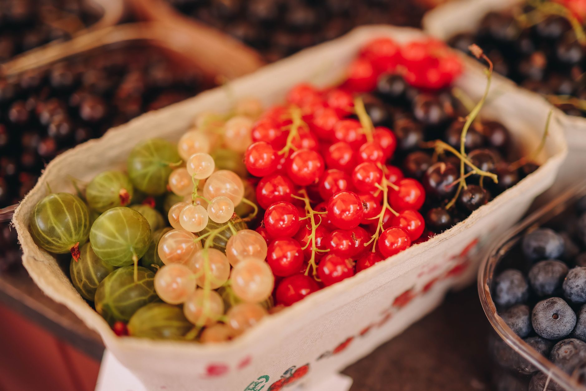 Alternatives aux fruits à coque pour personnes allergiques